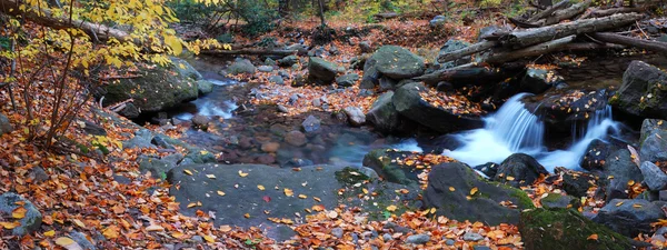 Creek foliage panorama — Stock Photo, Image