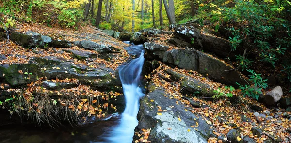 Осенний ручей на скалах с панорамой листвы — стоковое фото