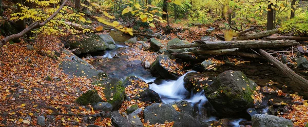Herfst creek — Stockfoto