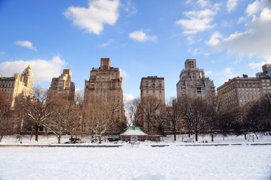 New York'un manhattan central Park'ta kış