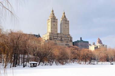 New York'un manhattan central Park'ta kış