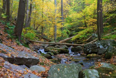 Autumn creek in mountain clipart