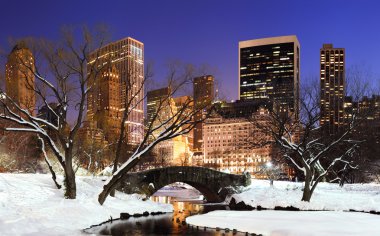 New York'un manhattan central park panorama alacakaranlıkta