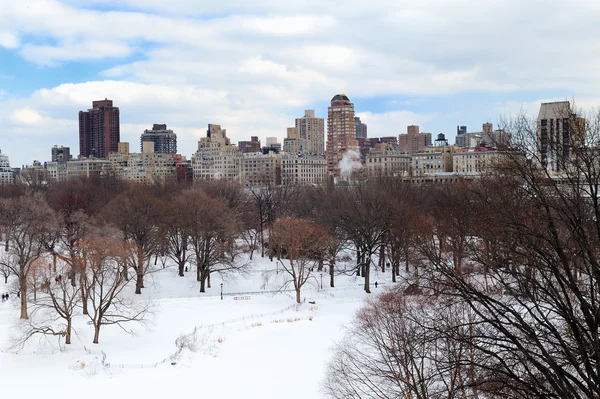New York'un manhattan central Park'ta kış — Stok fotoğraf