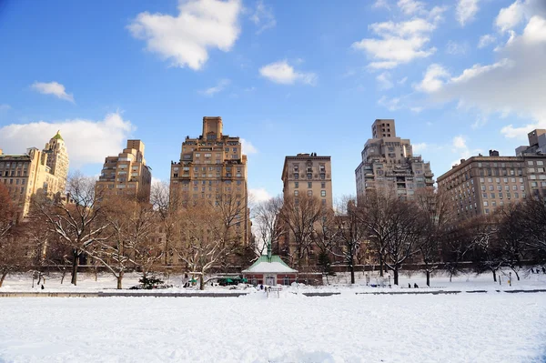 New York City Manhattan Central Park in inverno — Foto Stock