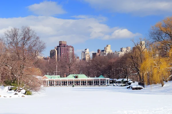 Панорама Центрального парка Манхэттена в Нью-Йорке — стоковое фото