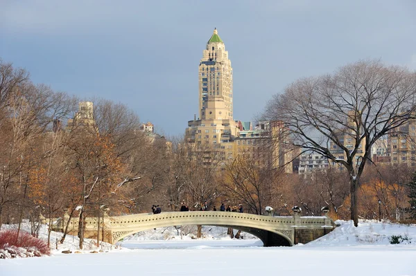 New York City Manhattan Central Park panorama in winter — Stock Photo, Image