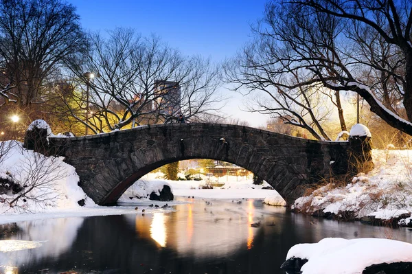 New york city central park most v zimě — Stock fotografie