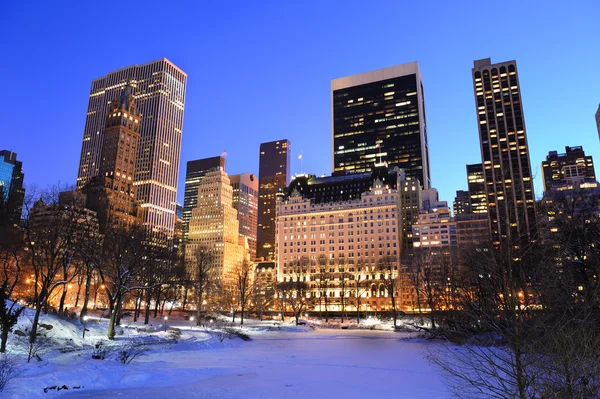 New York City Manhattan Central Park panorama om vinteren - Stock-foto