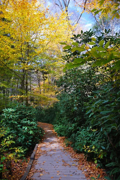 Sendero de senderismo de otoño — Foto de Stock
