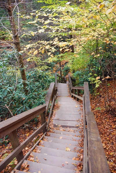 Autumn hiking trail — Stock Photo, Image