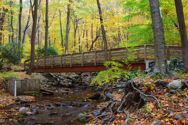 Puente de madera de otoño sobre arroyo — Foto de Stock