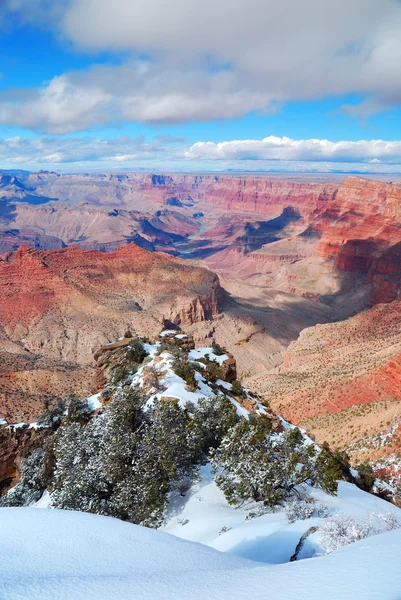 Grand canyon panoráma télen a hó — Stock Fotó