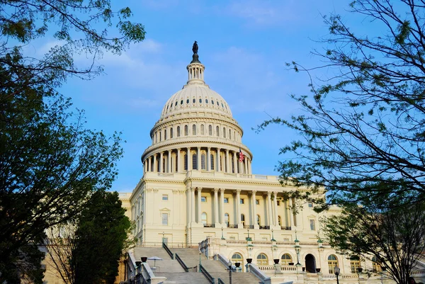 United States capitol hill, Washington DC — Stock Photo, Image