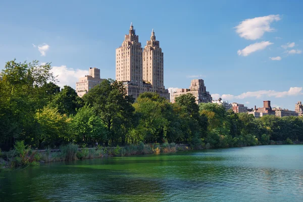 Central Park New York City — Stockfoto