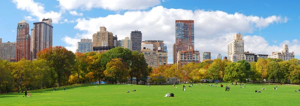 Panorama sullo skyline di New york city manhattan central park — Foto Stock