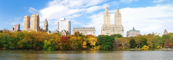 Panorama di New York City Central Park — Foto Stock