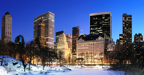 Nowym Jorku manhattan central parku panorama w zimie — Zdjęcie stockowe