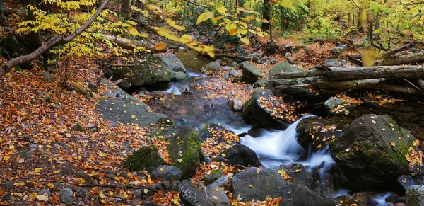 Autumn creek closeup panorama — Stock Photo, Image