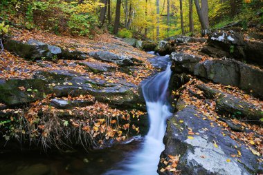 sonbahar creek portre