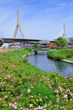 Boston zakim bunker hill Köprüsü