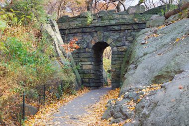 New York Şehri Manhattan Central Park