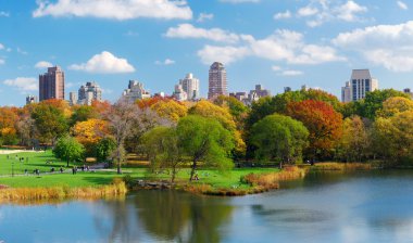 New York City panorama clipart