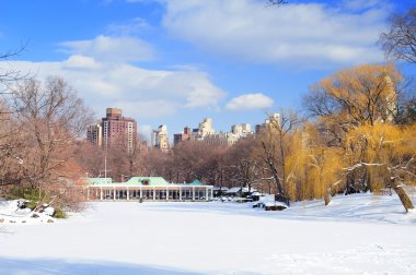 New York City Manhattan Central Park panorama clipart