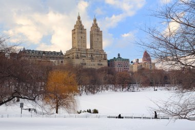 New York'un manhattan central Park'ta kış