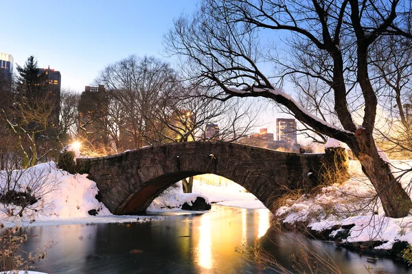 Nowym Jorku manhattan central parku w zimie — Zdjęcie stockowe
