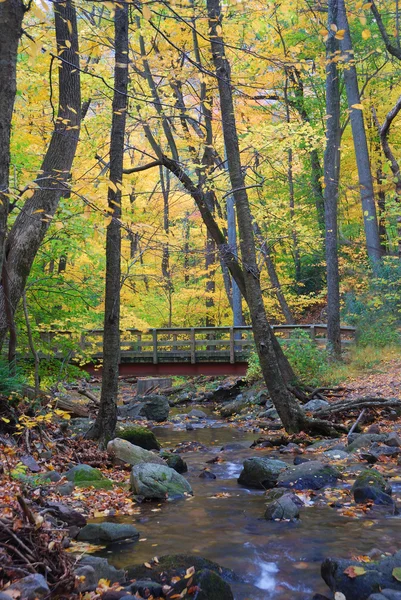 Ponte de madeira sobre riacho — Fotografia de Stock