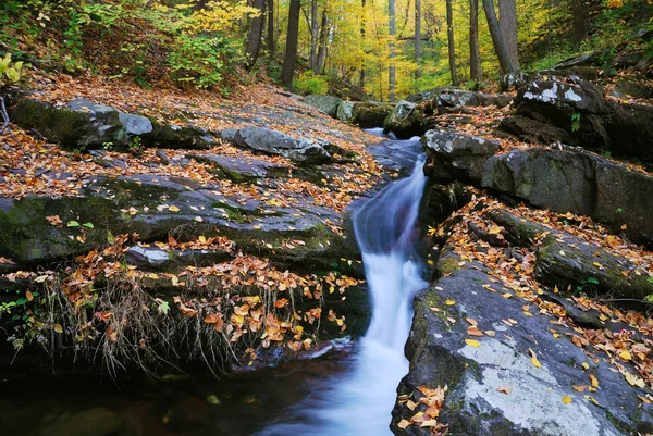 Primeros planos del arroyo de otoño —  Fotos de Stock
