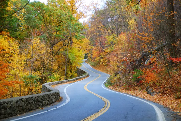 Colorido sinuoso camino de otoño — Foto de Stock