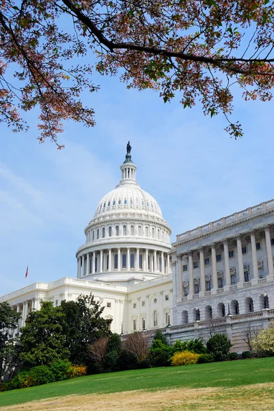 Здание правительства, Вашингтон — стоковое фото