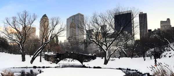 New York Manhattan Central Park panorama au crépuscule — Photo