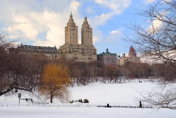 Πόλη της Νέας Υόρκης στο Μανχάταν Σέντραλ Παρκ το χειμώνα — Φωτογραφία Αρχείου