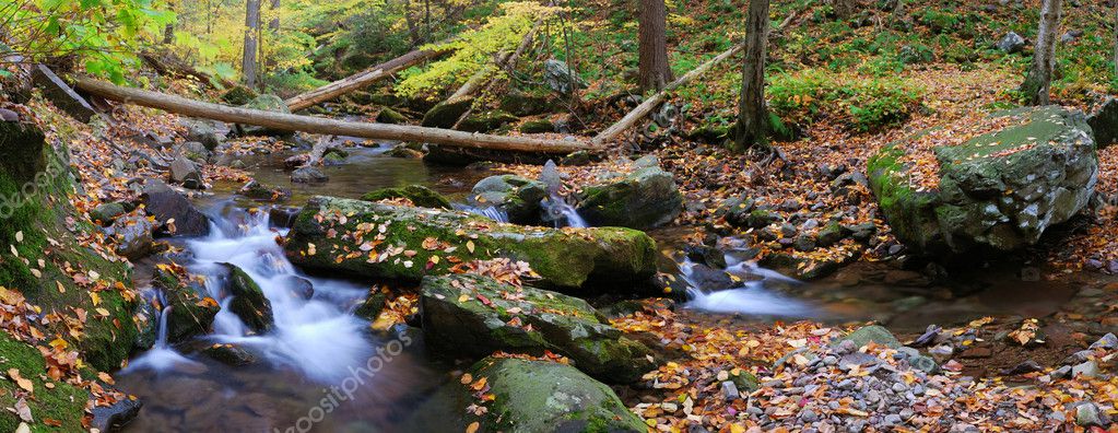 Creek panorama with tree branches in forest — Stock Photo © rabbit75 ...