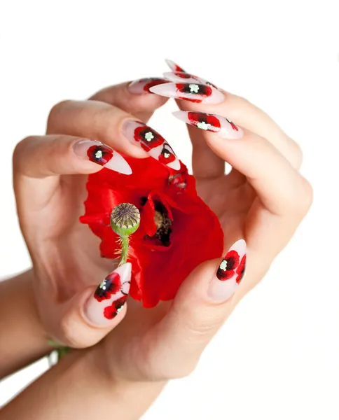 Nägel und Blume Stockbild