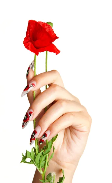 Nägel und Blume lizenzfreie Stockbilder