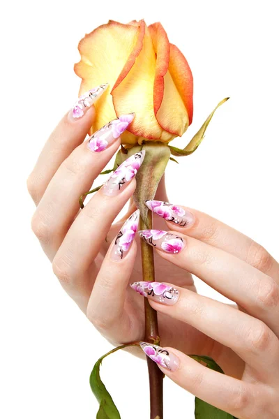 Nails and flower — Stock Photo, Image