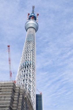 Tokyo Sky ağaç