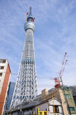 Tokyo Sky ağaç