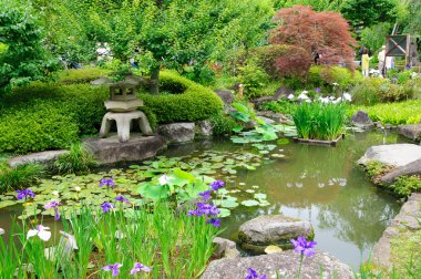 Japanese garden clipart