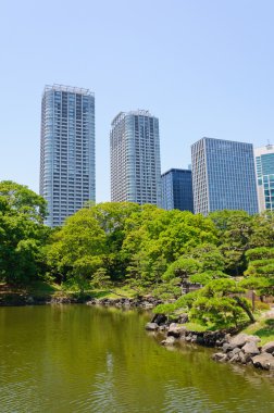 Tokyo, Japonya