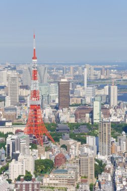 Tokyo, Japan View from the observatory clipart