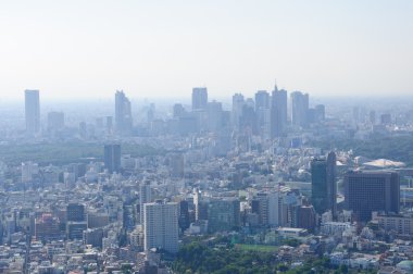 Tokyo, Japonya