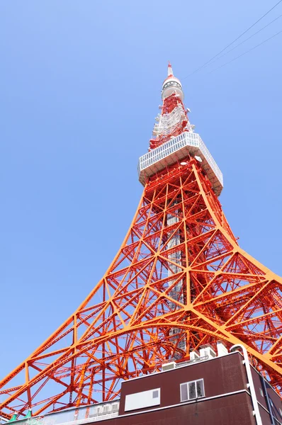 도쿄 타워입니다. 2011 년 여름에 찍은. — 스톡 사진