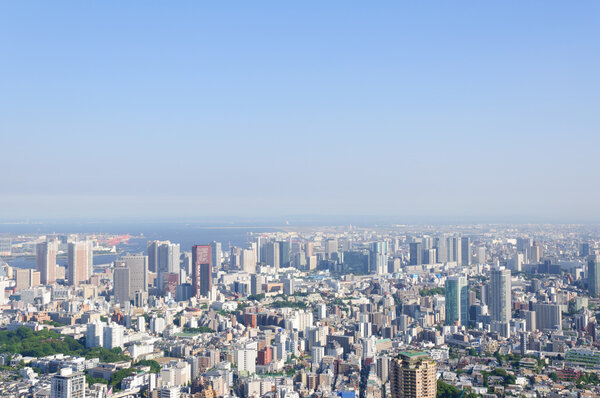 Tokyo. View from the observatory of Roppongi Hills Mori Tower. Taken in summer 2011.