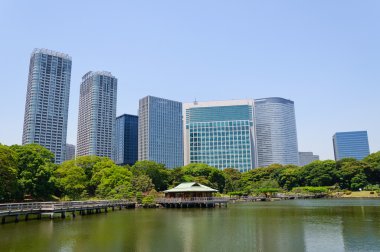 Tokyo, Japonya