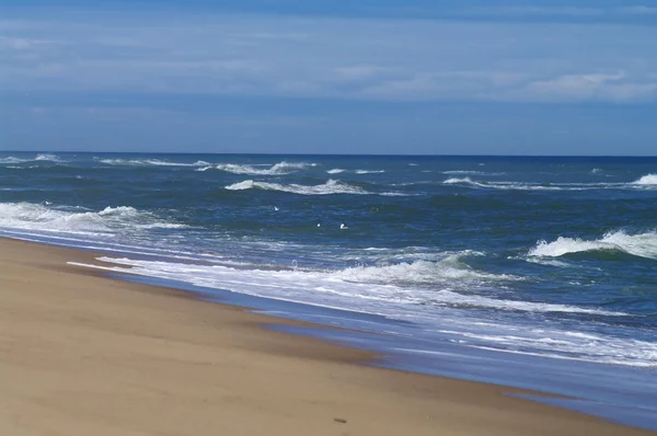 stock image Cape Cod Beach and surf